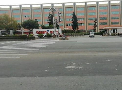 中山这个工厂曾经养活了一条街的生意,现在却冷冷清清了