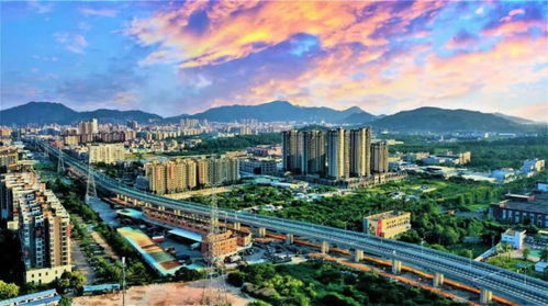 中山这条路出名了,入围省 十大最美公路 候选路段 投它