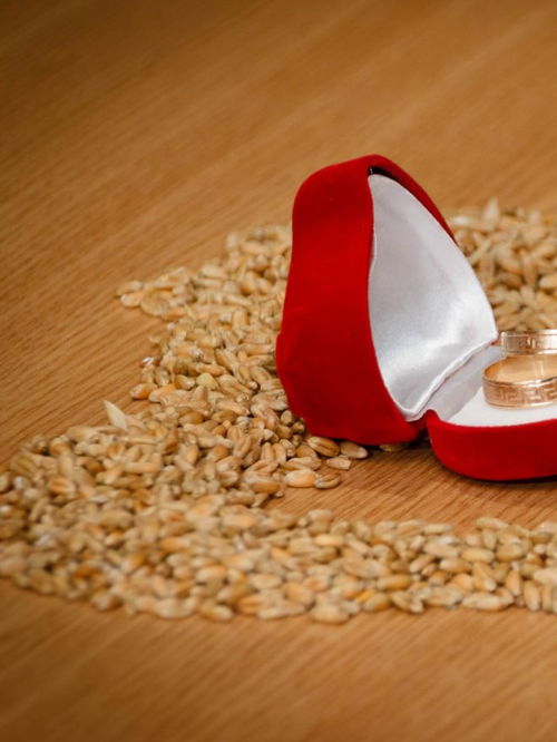 中山产品图片拍摄公司推荐选择指南